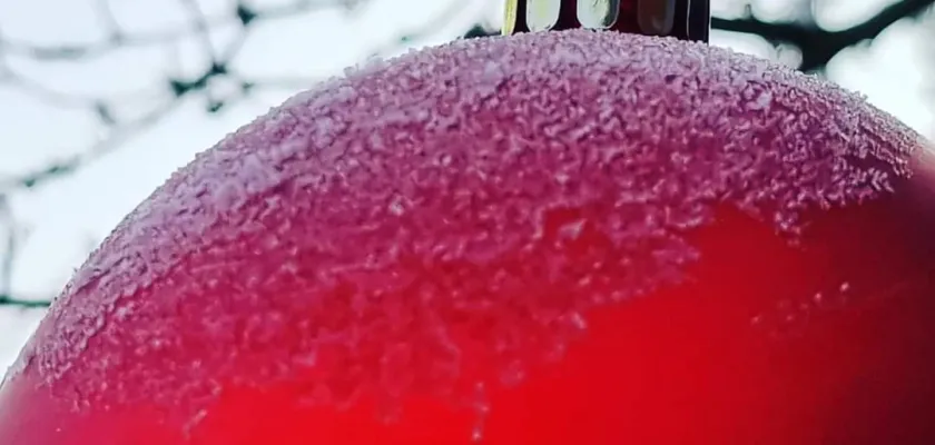 Weihnachts-Stammtisch mit Freunden